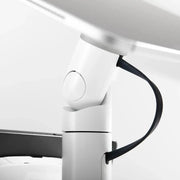 Bouncepad Core Twin Bouncepad